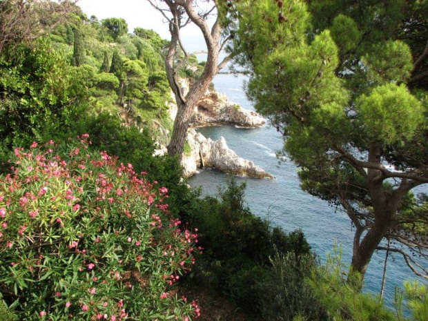 A oto cudowny widok na Adriatyk.
Chorawacja. #Własne