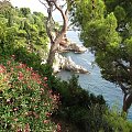 A oto cudowny widok na Adriatyk.
Chorawacja. #Własne