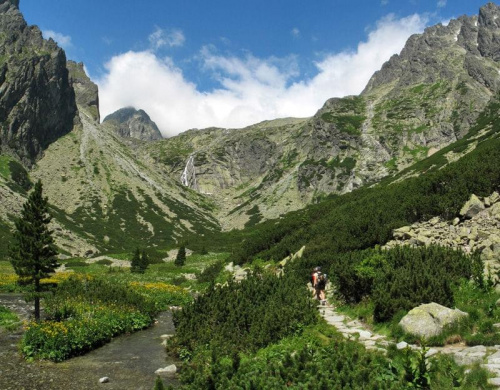 Dolina Małej Zimnej Wody #góry #tatry