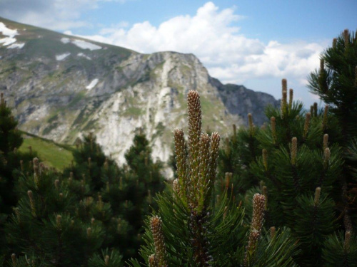 #tatry #gory #szlaki