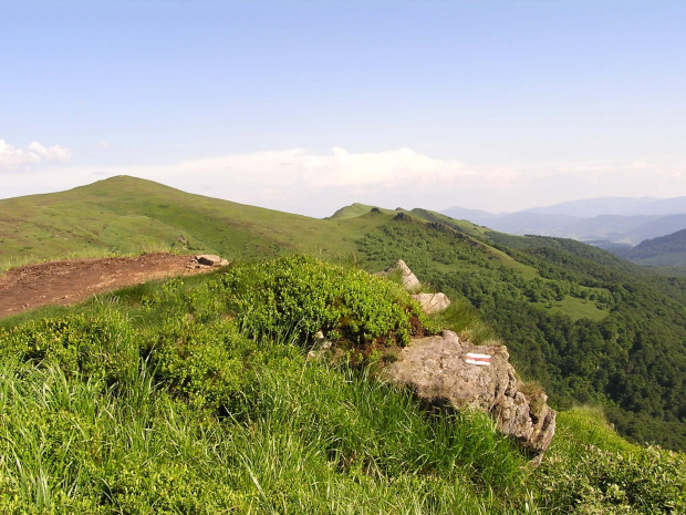 Bieszczady - czerwiec 2007 #Bieszczady #góry