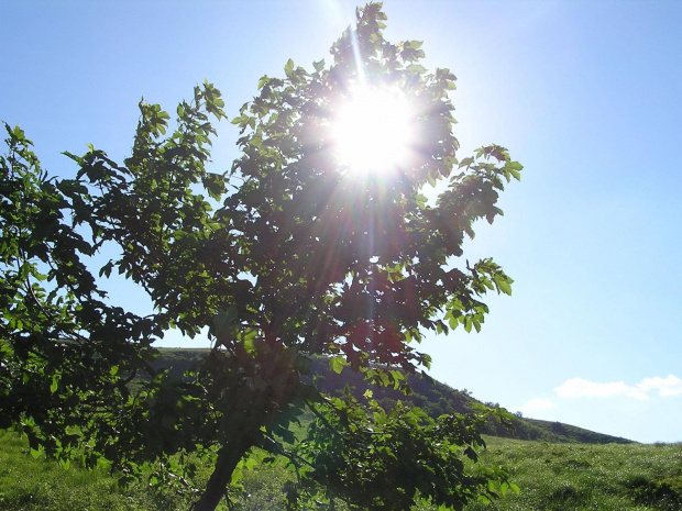 Bieszczady - czerwiec 2007 #Bieszczady #góry