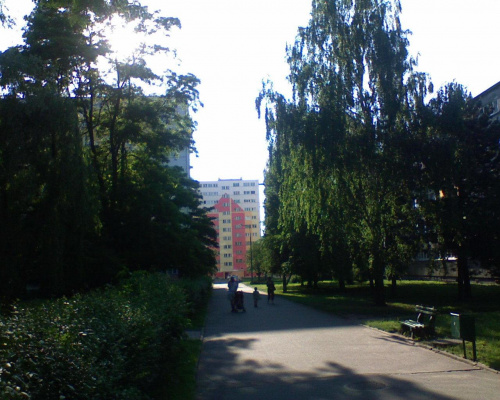 Zielona alejka spacerowa, zupełnie jak nie w mieście... osiedle Teofilów #Teofilów #Łódź