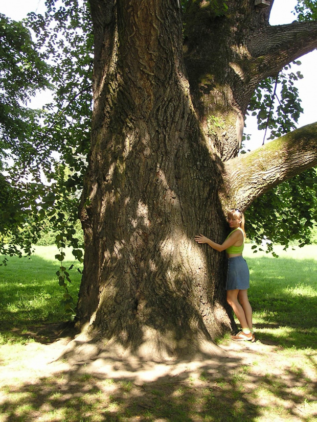 Pałac i park w Krasiczynie - czerwiec 2007 #Krasiczyn #zamek