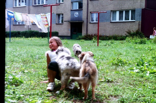 Maluszki przypuściły atak na córkę. Jest bezradna.