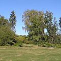 Park Skaryszewski na Pradze