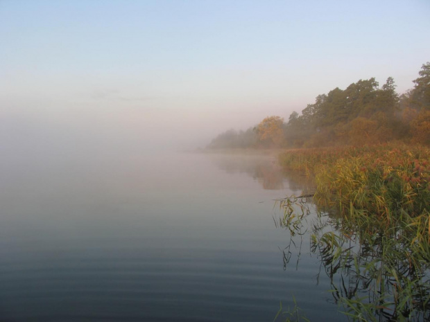 Mgła nad jeziorem Roś