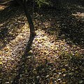 Park Skaryszewski na Pradze