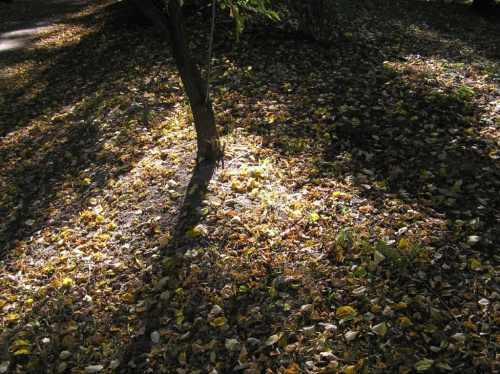 Park Skaryszewski na Pradze