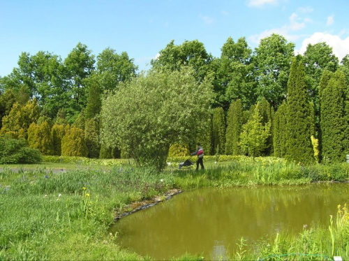 Ogród botaniczny w Powsinie