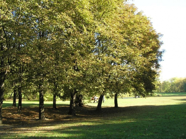 Park Skaryszewski na Pradze