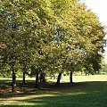 Park Skaryszewski na Pradze