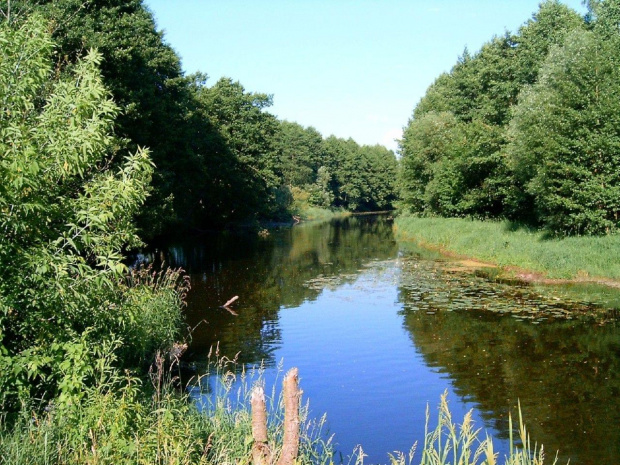 Bialoruś ...rzeczka i widoki