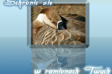 Schronić się #BrakTaga