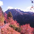 TAtry słowackie w jesieni