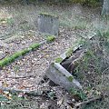 Cmentarz w Borkach #CmentarzWBorkach #Borki #Mazury #MazurskieCmentarze #OcalićOdZapomnienia