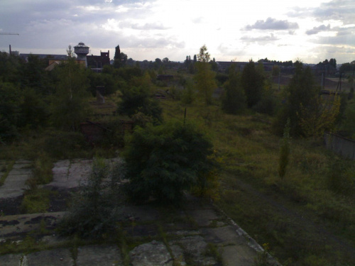 Teren 21
