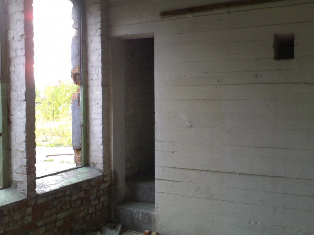 Pavlov 16