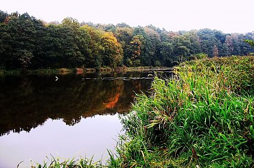 Jesień, przyroda, Koluszki, Lisowice, zbiornik #Jesień #przyroda #Koluszki #Lisowice #zbiornik