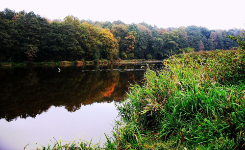 Jesień, przyroda, Koluszki, Lisowice, zbiornik #Jesień #przyroda #Koluszki #Lisowice #zbiornik