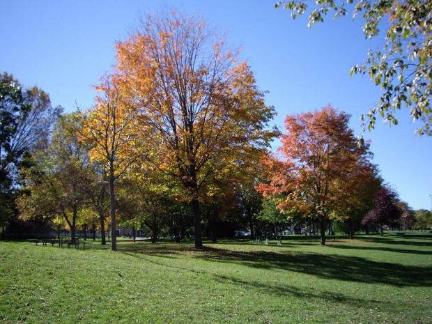 jesien w parku #jesien #park #Toronto #Canada #KoloryJesieni #widoki