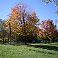 jesien w parku #jesien #park #Toronto #Canada #KoloryJesieni #widoki