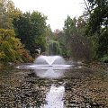 Wrocławski ogród botaniczny