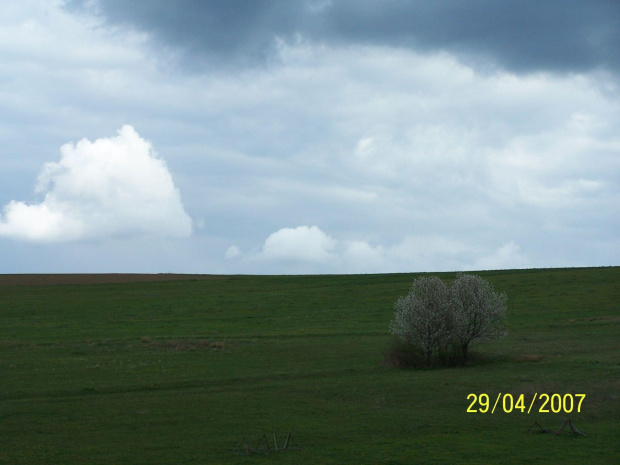 Bieszczady