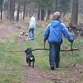 Ulubione, leśne zajęcie Felcia - dźwiganie giga patyków :D