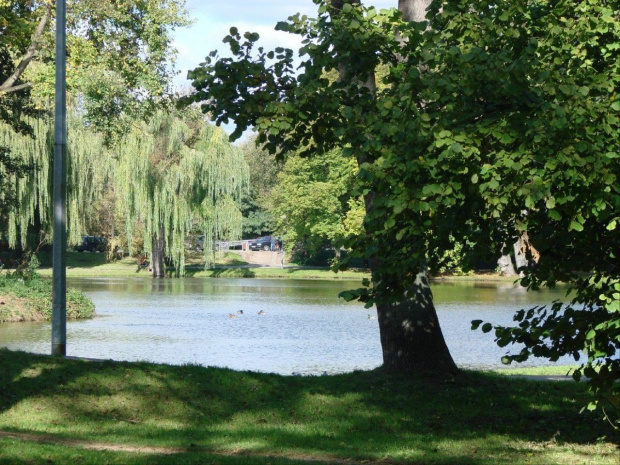 Pażdziernik 2007